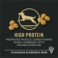 thumbnail image 3 of Purina Pro Plan Dry Dog Food for Large Adult Dogs High Protein,  Real Chicken & Rice, 47 lb Bag, 3 of 12