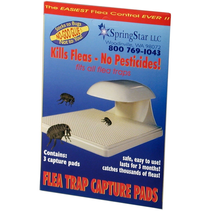 Springstar Flea Trap Capture Pads