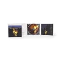 thumbnail image 4 of John Wesley - A Way You'Ll Never Be - Music & Performance - CD, 4 of 4