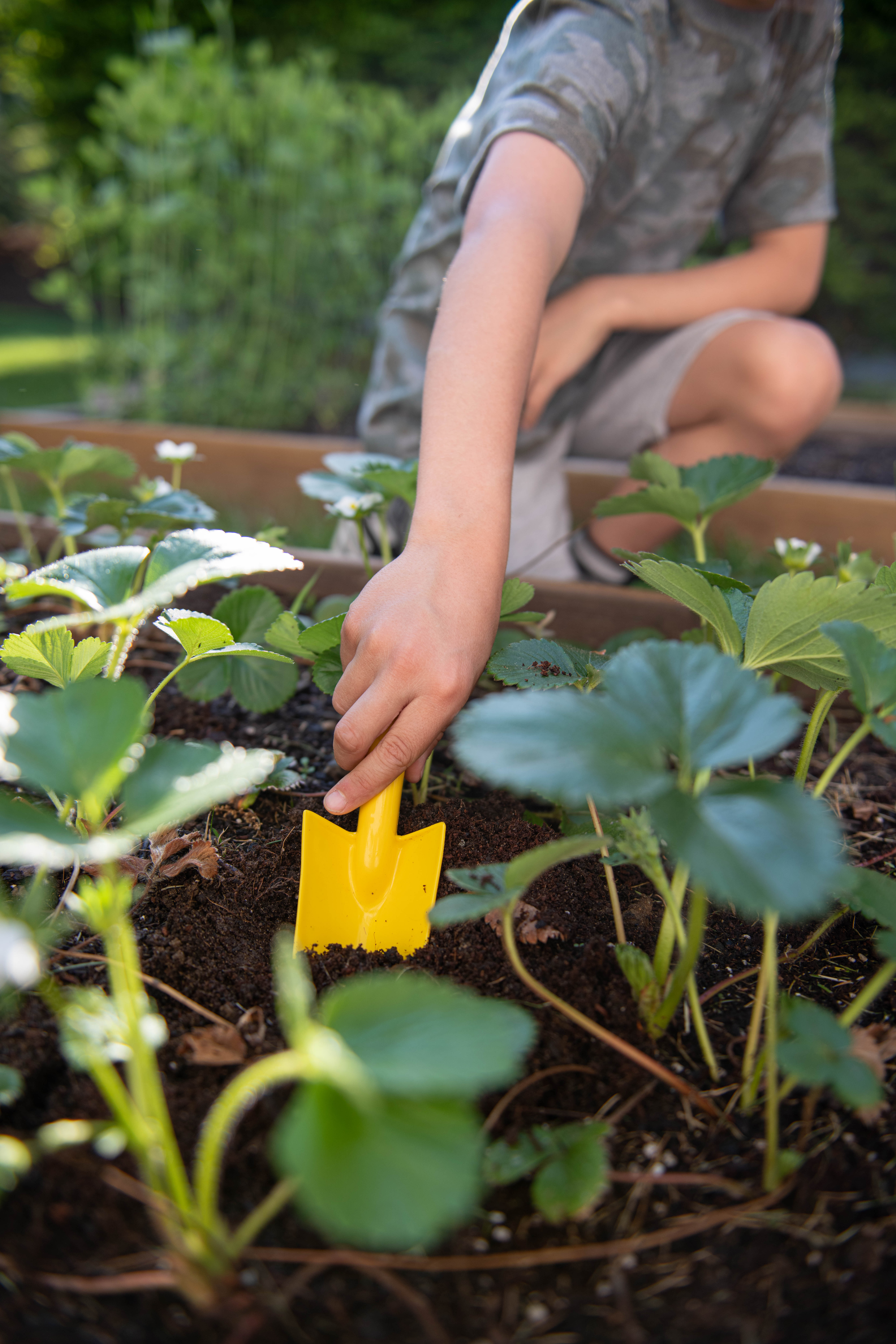 Back to the Roots Kids' Gardening Tool Kit with Organic Seeds, 16 Piece Set