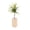 A, variant on Wooden Air Plants Holder, Square Display Stand with Base and Flexible Wire Support, Desktop Plants Container for Home and Office Decor