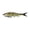 Golden Shiner, variant on Berkley PowerBait® Nessie, 11 in, Rainbow Trout