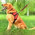 thumbnail image 1 of Correa para perros Cadena para perros K9 Correa para el pecho a prueba de explosiones Perro pequeño, mediano y grande Golden Retriever Mascota, 1 of 4