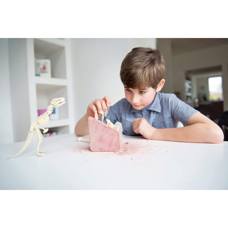 4M Kidzlabs: DETERRE-Ton-Dinosauro (Tyrannosaurus Rex) / Confezione F R
