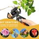 thumbnail image 5 of Juego de tijeras de injerto para jardinería, enfermería, juego de herramientas para podar, juego de herramientas para injerto de plantas, paquete de lujo AweSitey HA003800-02B, 5 of 6