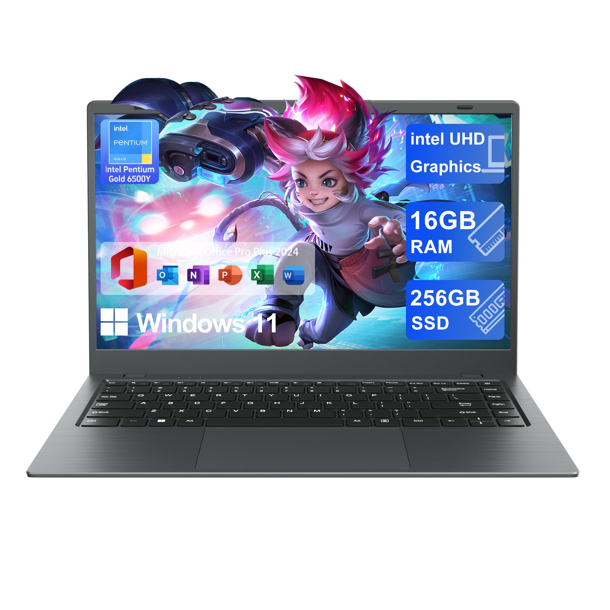 16GB RAM+256GB SSD