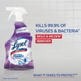 Lysol Mold & Mildew Blaster w. Bleach, Bathroom Cleaner Spray, 28oz