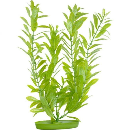 Marina Aquascaper Hygrophila Aquarium Plant