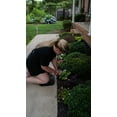 thumbnail image 4 of Expert Gardener Kneeling Pad 11"x17"x5/8", Black Foam Comfort Gardening Kneeler 1 lb, 4 of 8