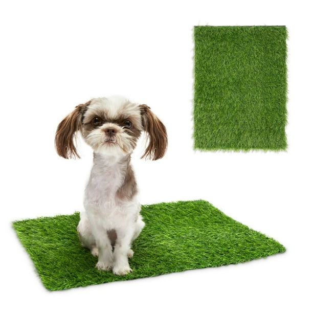 Can Dogs Pee On Artificial Grass