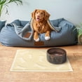 thumbnail image 5 of Gibson Everyday 119896.01 17.7 x 15.75 in. Pet Elements Dog Bone Placemat, Tan, 5 of 5