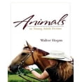 thumbnail image 1 of Animals in Young Adult Fiction, 1 of 3