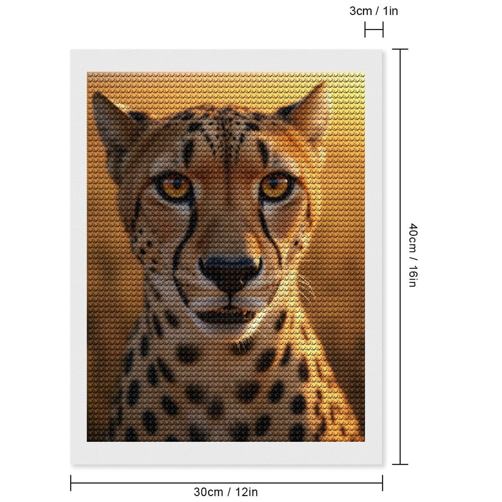 Diamond Art Kits for Adults, Cheetah Face Close Up Sunset 5D Diamond Painting Kits for Adults Beginners, DIY Full Drill Diamond Painting, Gem Art and Crafts 12x16