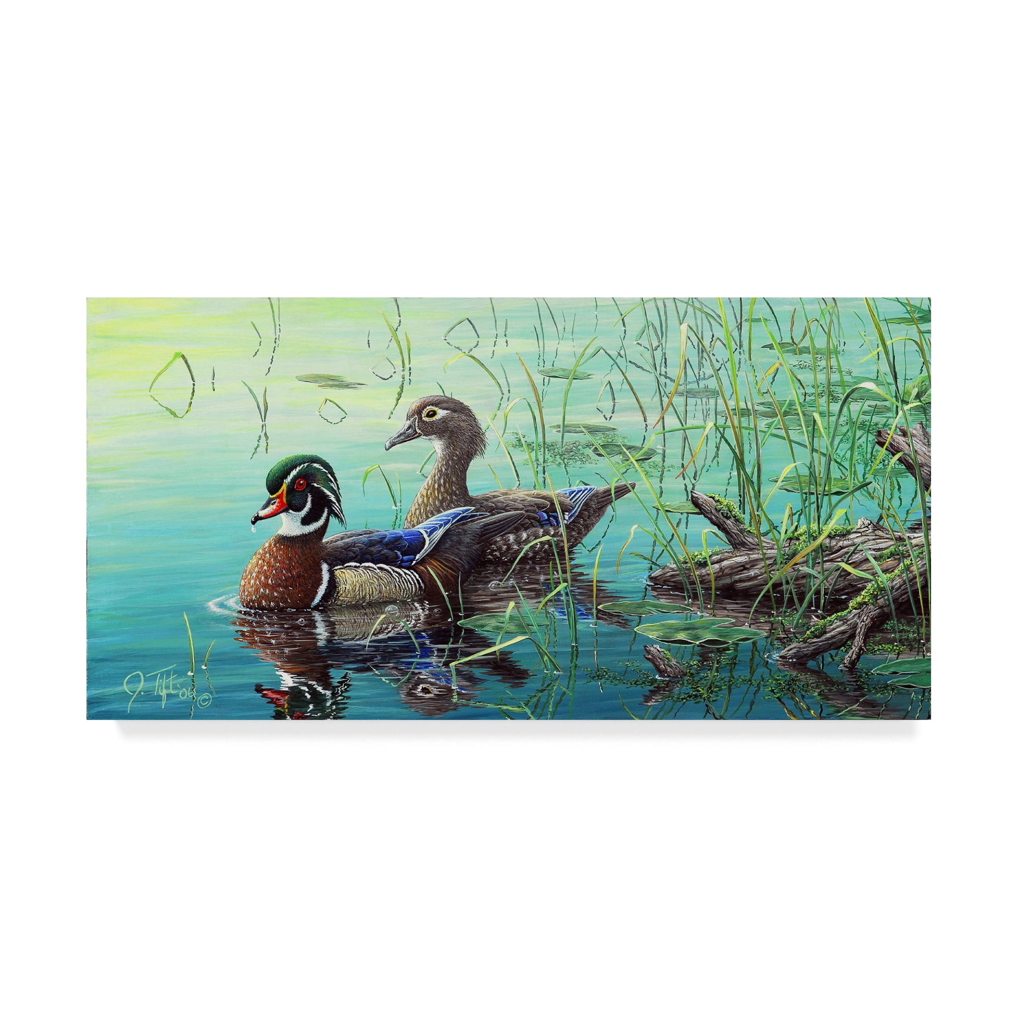 Trademark Fine Art 'Wood Ducks' Canvas Art by Jeff Tift