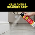 thumbnail image 3 of Raid Defend Ant & Roach Killer, Indoor Insecticide, Residual Killing Power, Lemon Scent, 20 oz, 3 of 14