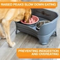 TRAHOOThe Niner Slow Feed Bowl Raised Peaks Slow Down Pets Eating