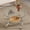 Transparent + Silver, variant on 31" Double-layer Round Coffee Table, Tempered Glass Coffee Table with Metal Legs, for Living Room, Gold