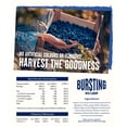 thumbnail image 3 of Ocean Spray Blueberry Juice Drink 1 Litre, Imported from Britain, 3 of 5