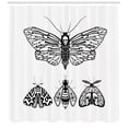 thumbnail image 3 of Ambesonne Death Moth Shower Curtain, Minimalist Wings Art, 69"Wx84"L, White and Black, 3 of 3