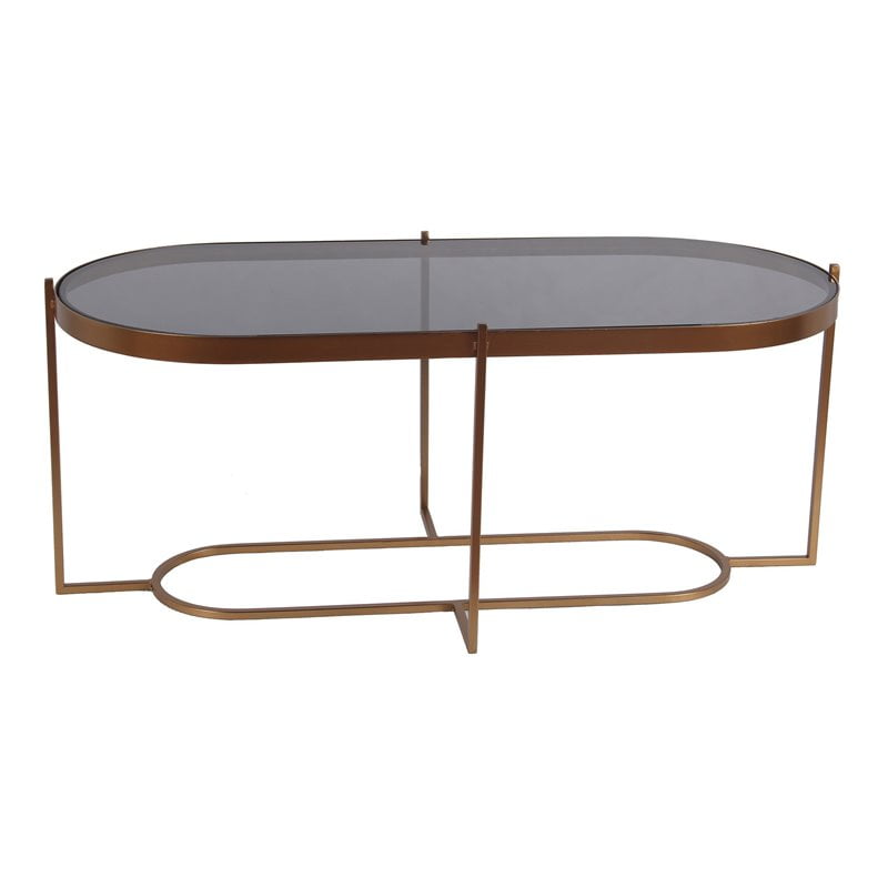 Privilege Oval Modern Metal Coffee Table with Smoked Glass Top in Gold