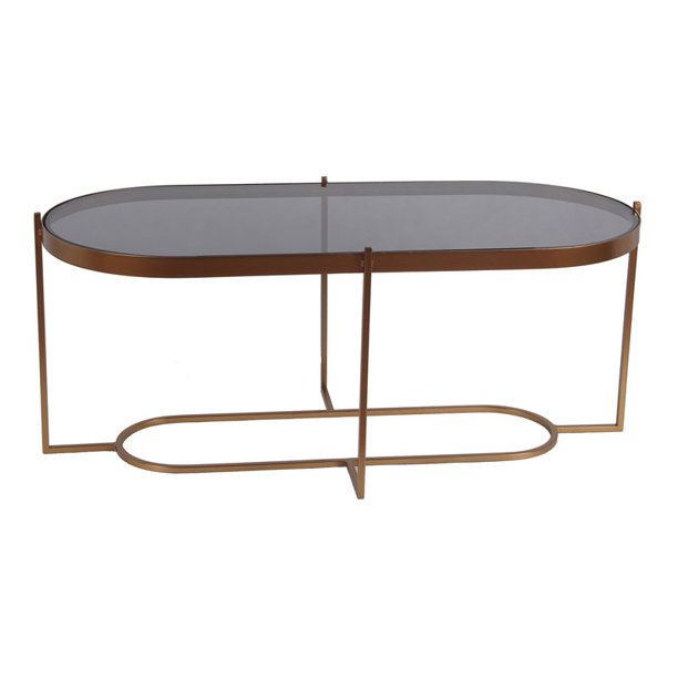 Privilege Oval Modern Metal Coffee Table with Smoked Glass Top in Gold