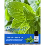Essence Peppermint Essential Oil, 5 mL – Aromatherapy Oil for Diffuser