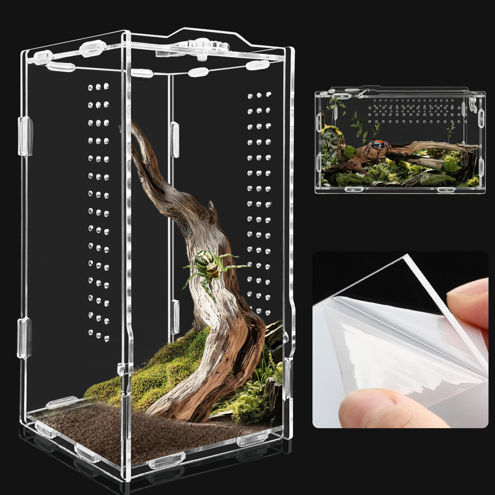 Micro Habitat Acrylic Reptile Enclosure, Small Terrarium for Arboreal & Terrestrial Reptiles, Spiders, Amphibians, and Invertebrates, 4x4x8 Sizes
