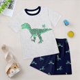 thumbnail image 2 of NOLDARES Baby Boy Toddler Shorts Set Clothes Summer 2pcs Outfit Cute Colorful Print Short Sleeve Cotton Shirt Top Pull on Shorts Pockets(Grey,5-6 Y), 2 of 5
