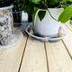thumbnail image 3 of 6 Pack Clear Plant Saucer 12 Inch Plastic Plant Saucers Thicker Plant Tray Flower Pot for Indoor Outdoor Garden, 3 of 5