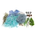 thumbnail image 4 of Flores prensadas secas reales Plantas naturales に 適用 Álbum de recortes, vela de bricolaje, fabricación de artesanías con colgante de joyería de resina Soledad flores de hojas secas naturales, 4 of 8