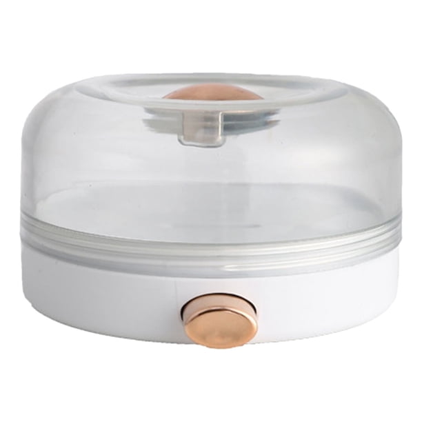 Botellas rociadoras, botellas de agua, caja de condimentos de cocina, contenedor pequeño para especias, organizador de condimentos, recipiente para condimentos, frasco agitador magnético a presión, fr