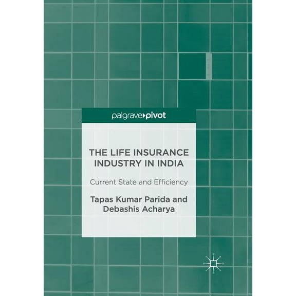 The Life Insurance Industry in India: Current State and Efficiency, (Paperback)