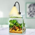 thumbnail image 3 of Aquarium Lampe à Pince Économe en Énergie Ampoules LED 360 Degrés Réglable pour Votre Réservoir d'Eau, 3 of 7