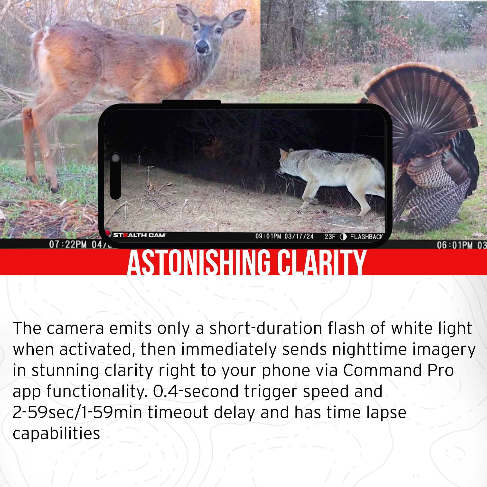 Stealth Cam Flashback 40MP White Flash Cellular Trail Camera 4-Pack with Four  32GB Memory Cards and Card Reader