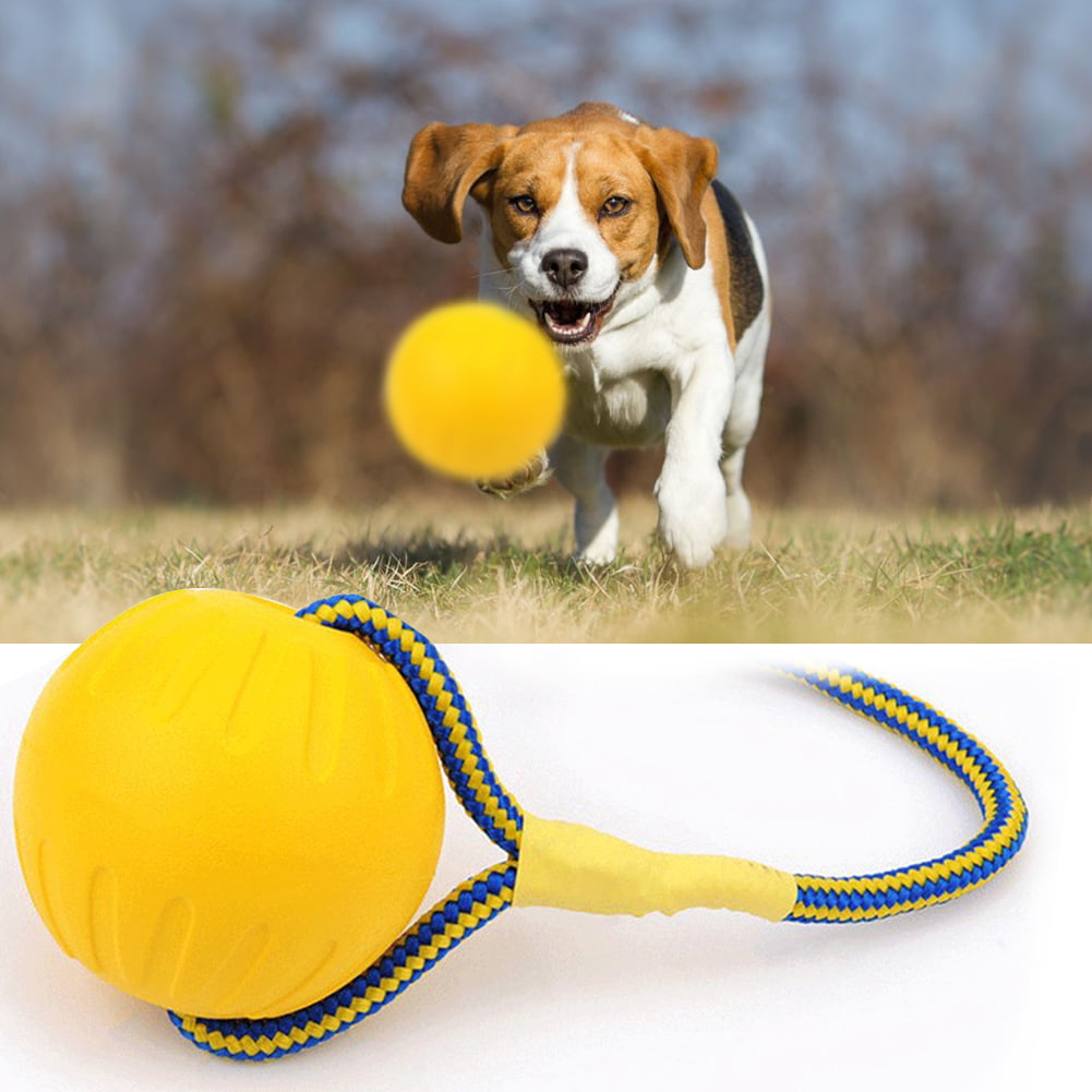 Dummy ball 150g ideal for fetch training dog training toy trains search and marker capacity robust material floatable extra-long rope