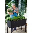 Keter Easy Grow Elevated Garden Bed, Anthracite