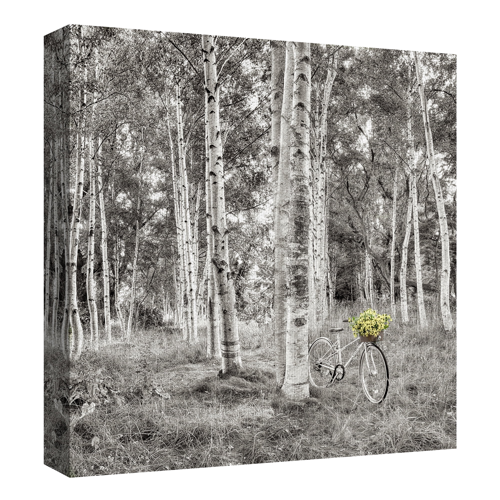 Masterpiece Art Gallery Sunflower Bicycle Ride Through The Forest By Alan Blaustein Canvas Art Print 24" x 24"