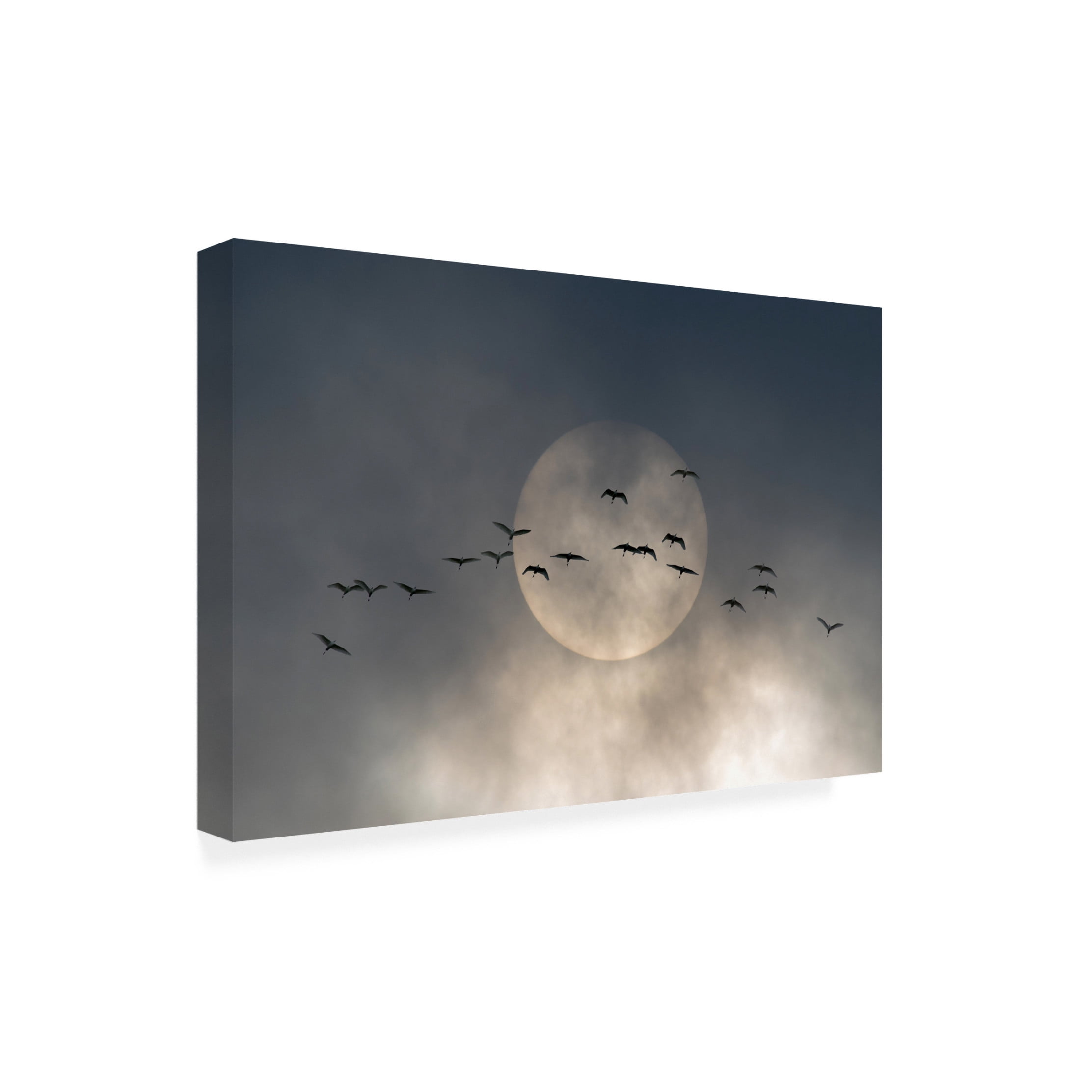 Trademark Fine Art Andrea Haase Caterina Wings Canvas Wall Art