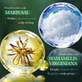 thumbnail image 4 of Scalp Exfoliator Deep Cleansing Mint Scrub for Soothing Care 100g - Hair Scalp Treatment Removes Dead Skin Cells for Dandruff and Build Up - Suitable for All Hair Types Men Women Home Use, 4 of 7