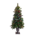 thumbnail image 3 of National Tree Company 4 ft. Crestwood® Spruce Entrance Tree with Twinkly LED Lights, 3 of 4
