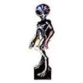 thumbnail image 3 of Advanced Graphics 325 Roswell Male Alien - Life-Size Cardboard Stand-Up, 3 of 3