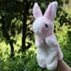 thumbnail image 4 of EeaseMX 1 marioneta de mano de conejo para niños, juguetes de rol de dibujos animados, adorable marioneta de peluche., 4 of 7