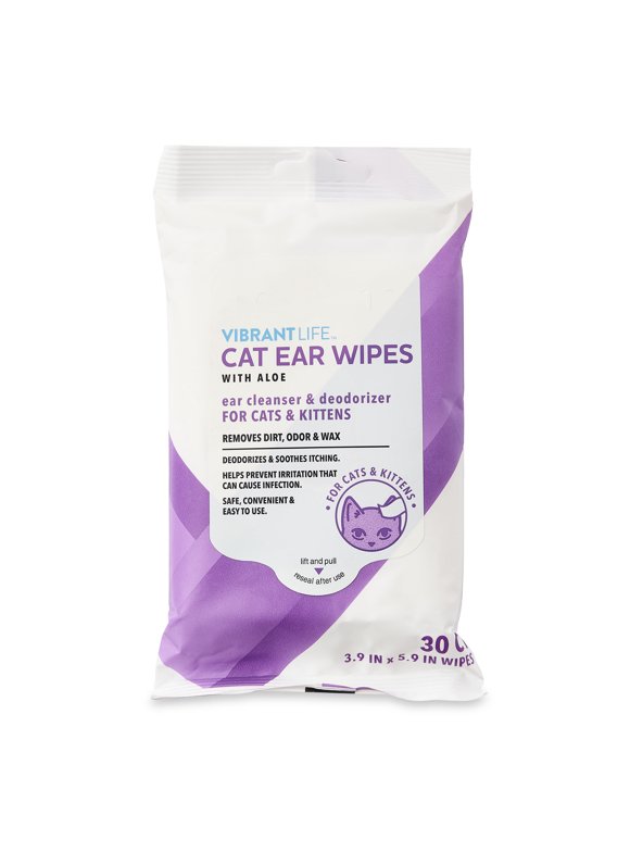 Cat Grooming in Cats