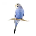 thumbnail image 2 of Parrot Blue and White Wall Decal by Wallmonkeys Peel and Stick Graphic (24 in H x 14 in W) WM56687, 2 of 4