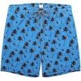 thumbnail image 1 of Biwisy Mens Swim Trunks Quick Dry Swim Shorts with Mesh Lining Funny Beach Shorts, 1 of 6