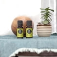 thumbnail image 2 of Edens Garden Lime- Steam Distilled Essential Oil- 100% Pure Premium Grade, Undiluted, Natural, Therapeutic, Aromatherapy, The Best for Diffuser, Skin, Candle, Kid Safe 10 ml (.33 fl oz), 2 of 8