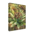 thumbnail image 2 of Trademark Fine Art 'Nature Delight III' Canvas Art by Danhui Nai, 2 of 3