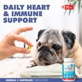 thumbnail image 6 of UBAVET Ubameg EFA 1000mg Omega-3 Fatty Acid Capsules for Dogs & Cats, 120 Caps, 6 of 7