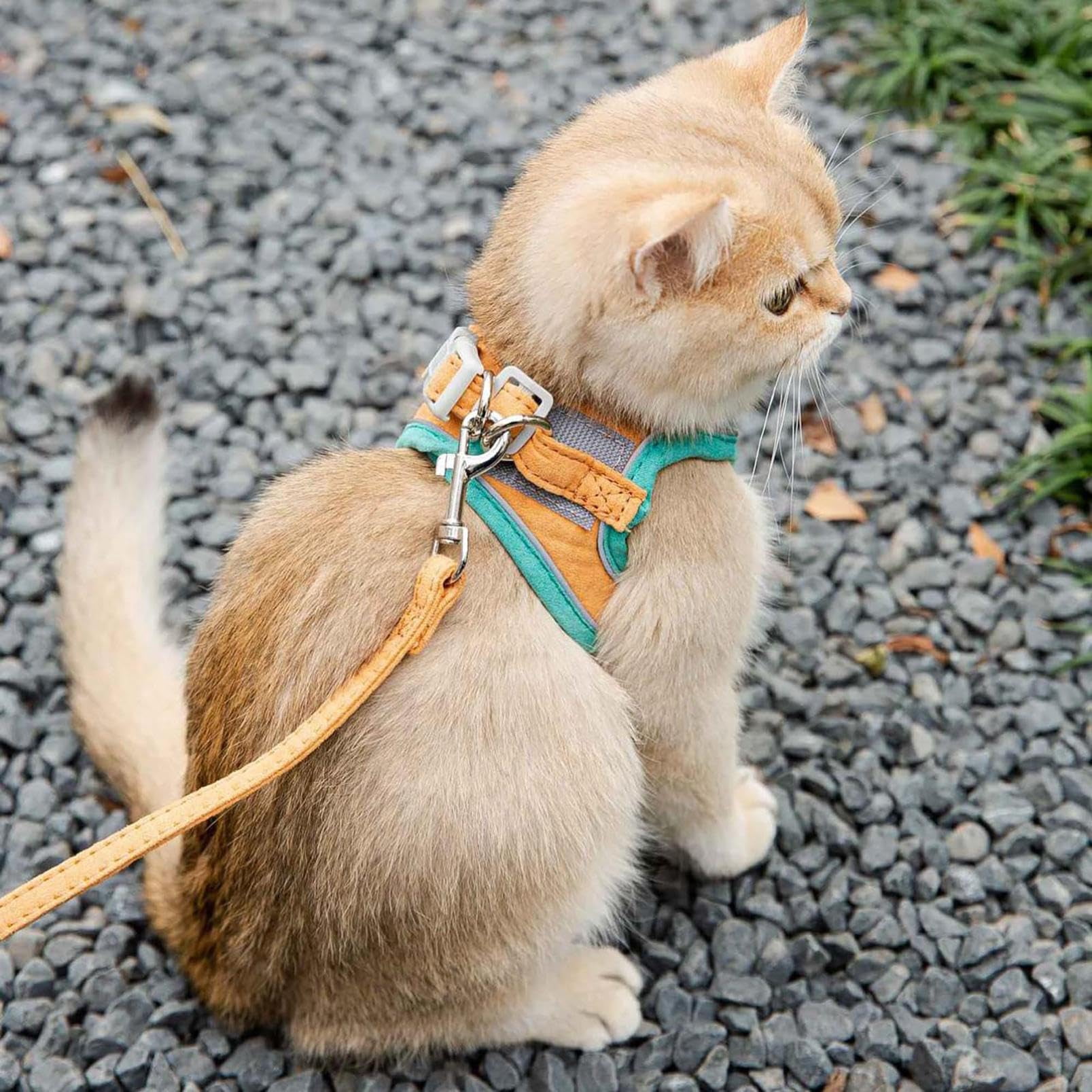 Cat Harness and Leash,Escape Proof Cat Harness and Leash Set,Adjustable Chest Strap for Outdoor Walking and Pull Control