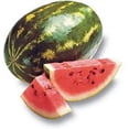 thumbnail image 1 of 100 CRIMSON SWEET WATERMELON Citrullus lanatus Fruit Melon Seeds, 1 of 4